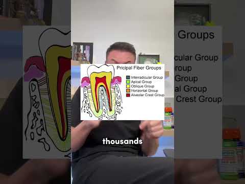 The Secret Truth About Retainers 😳 #shorts