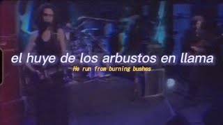 PJ Harvey - Naked Cousin (Lyrics//letra) (español)