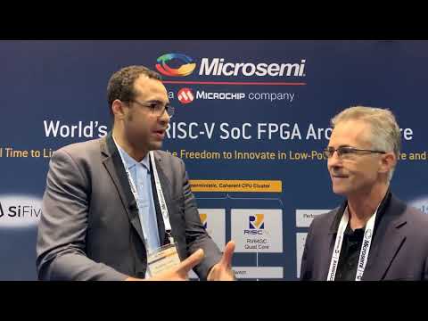 World's First RISC V based FPGA SoC Brings An Open Source Ecosystem With It