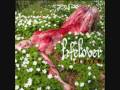 LifeLover - MS Salmonella 