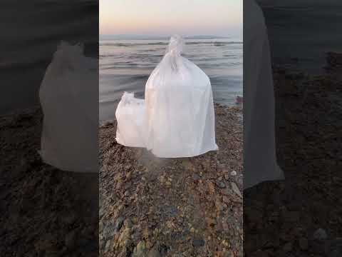 魚の冷却、真水氷より海水氷！夏場の鮮度を守る決定的な違いをAIが数値で解説【2025年最新版】