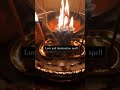 Witch Altar. Love Spell #venus #lovespell #wicca #pagan #hoodoo #witch #shots #manifestation #love