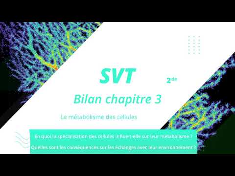 Le métabolisme des cellules (SVT 2de)