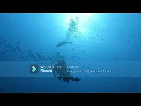 Mediterraneo - Ustica