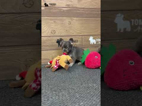 Video 3