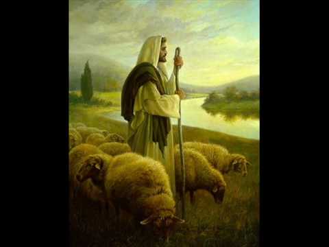 Ovelha Ferida - Diego Fernandes