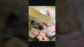 Download lagu DSCN20232022 07 25 15 57 57 953 mp3