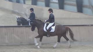 Video of Arvalon Geronimo