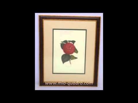 Florals & Plants Double Passepartout M Series