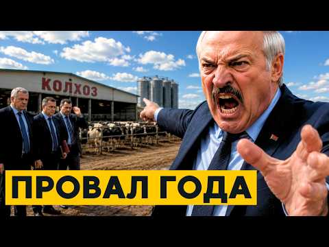 КАТАСТРОФА на фермах!? Беларусь ТЕРЯЕТ коров тысячами! Колхозы НА ГРАНИ!