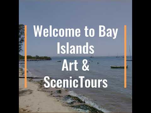 Bay Islands Art and Scenic Tours