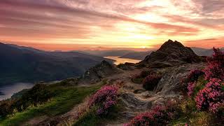 Jim Reeves &amp; Patsy Cline. Have You Ever Been Lonely