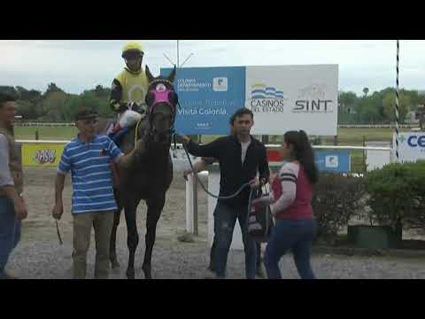 SINT COLONIA - 220918 c07 1° CAPITA (BRZ)