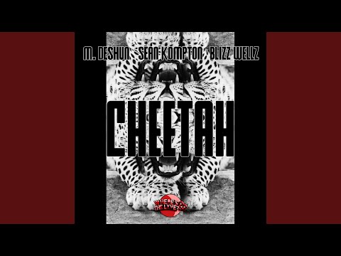 Cheetah