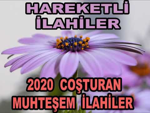 Hareketli ilahiler💜2021 Coşturan Muhteşem ilahiler Dinle💜En Kıymetli İlahiler💜İlahi Nağmeler💜