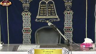 בית המדרש "תורת דוד" ¤ שידור חי ¤ ד' אלול תשפ"ה (28.8.2024) (מוסדות תורת דוד) - התמונה מוצגת ישירות מתוך אתר האינטרנט יוטיוב. זכויות היוצרים בתמונה שייכות ליוצרה. קישור קרדיט למקור התוכן נמצא בתוך דף הסרטון בית המדרש "תורת דוד" ¤ שידור חי ¤ ד' אלול תשפ"ה (28.8.2024) (מוסדות תורת דוד) - התמונה מוצגת ישירות מתוך אתר האינטרנט יוטיוב. זכויות היוצרים בתמונה שייכות ליוצרה. קישור קרדיט למקור התוכן נמצא בתוך דף הסרטון