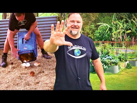 5 Ways to QUICKLY become More Self Sufficient