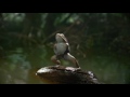Mountain Dew Kickstart Freak Chain Ad HD