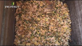 Faire du terreau de feuilles mortes : le compostage