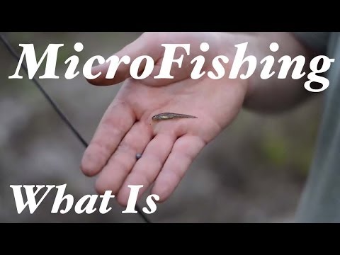 What is MicroFishing