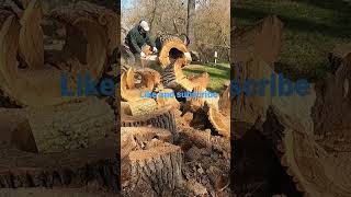 Stihl MS 661 C 36” bar vs raccoon