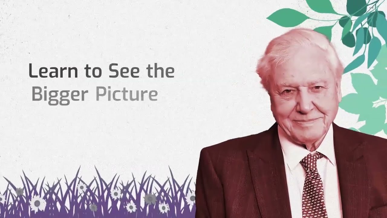 Chapter 6 Learn to See the Big Picture | What You Can Learn From David Attenborough