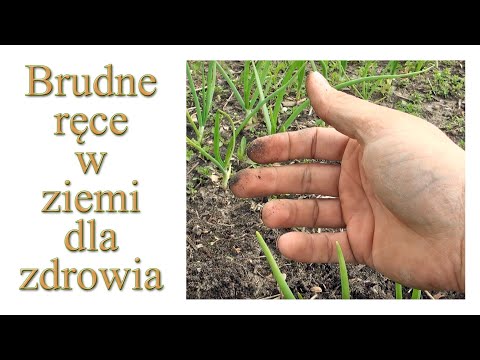 Harde Kopyto 5 - brudne ręce w ziemi