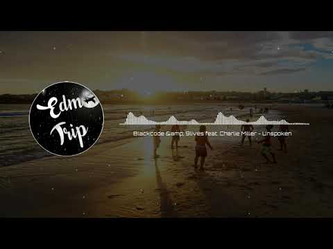Blackcode & 9lives feat. Charlie Miller - Unspoken