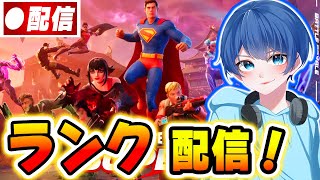 【配信】新シーズン！ランクやカスタムしていくかね！！【Fortnite/フォートナイト】