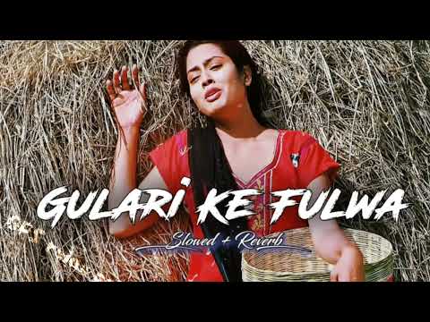 Gulari Ke Fulwa Lofi - Slowed + Reverb - #kalpnapatwarihitssong #lofi #song- Mehandi laga ke rakhna3