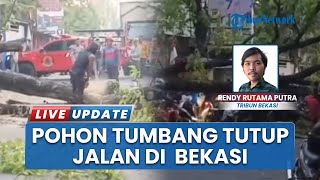 Lalu Lintas di Kaliabang Tengah Bekasi Sempat Mati Total, Warga Putar Balik Buntut Pohon Tumbang