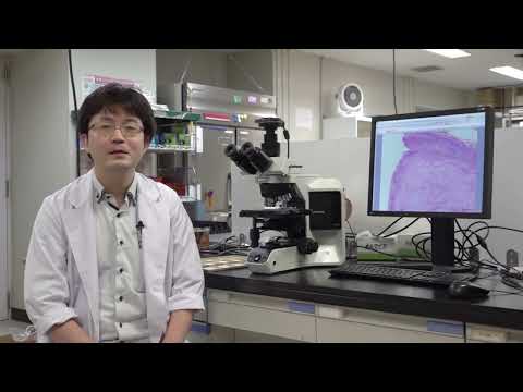 医学科 第3回（1）東北大学　山崎有人　先生　「若手研究者のひらめき～研究医への誘い～」　（東北大学大学院医学系研究科病理診断学分野　講師）