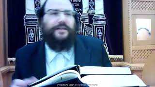 זרע שמשון - פרשת נח - הרב יצחק ליכטנשטיין‎‎
