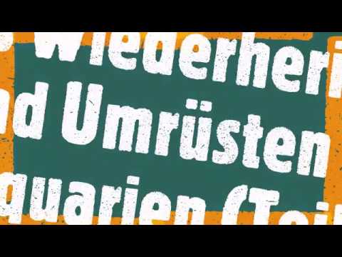 Becken herrichten Teil I (01.11.2019) - Umrüsten von Aquarien