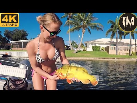 Moments Of Instant Karma Caught On Camera | Instant Regret Fails Compilation 2026 #309