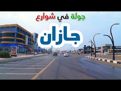 الفيديو