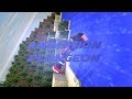 Animation Plongeon