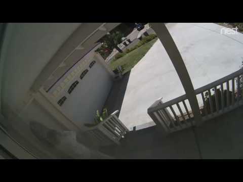 Clip July 3 2017 at 104 PM