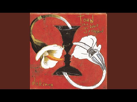 Reincarnation Song - Toad the Wet Sprocket