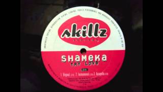 Shameka - Try Love (Inst.)