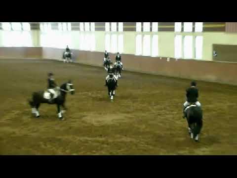 NWHS Video Culver Military Equestriennes Drill Team