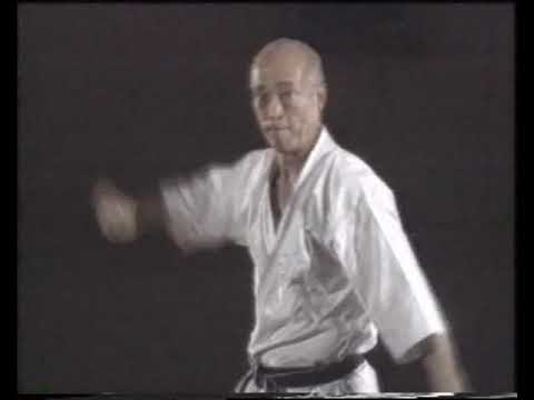 Essence of Wado Ryu Karate — Part 2