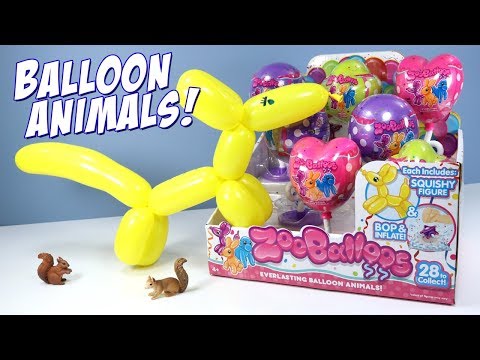 download lagu mp3 mp4 Zoobaloo, download mp3 Zoobaloo free downloadn, video klip Zoobaloo