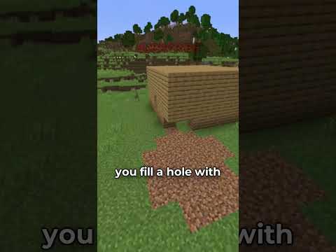 the most annoying thing you can do in minecraft