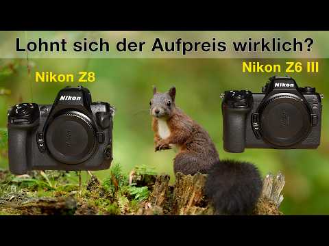 Nikon Z6 III vs Nikon Z8 – Which camera for wildlife photography?