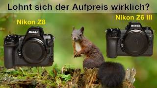 Nikon Z6 III vs Nikon Z8 - Welche Kamera für die Tierfotografie?