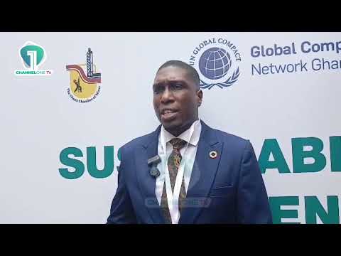 UN Global Compact Warns Low Financial Literacy Is Holding Businesses Back