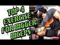 BRST FOUR EXERCISES TO GAIN BICEPS SIZE - Jitender Rajput