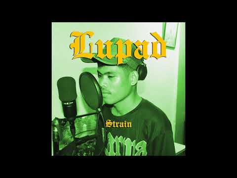$train - Lupad