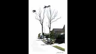 Keith Jarrett - Be my love